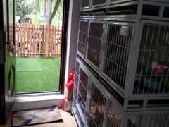 -圣宠宠物(平吉花卉市场店)