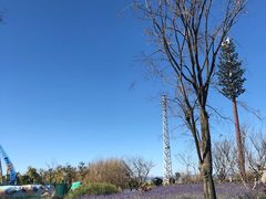 -呈贡滇池生态湿地公园