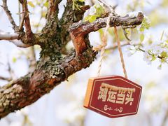 -江苏三台山国家森林公园