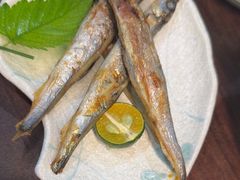 -黑松白鹿(金融街店)
