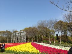 -上海鲜花港