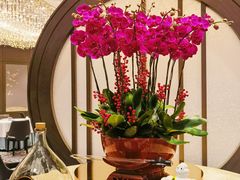 -万豪金殿(香港JW万豪酒店)