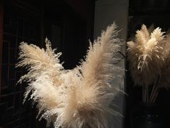 -都氏家DUSJOY(翡翠城店)