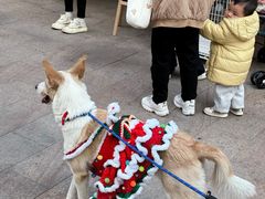 -佛山京华广场MALL