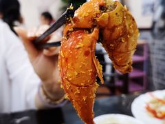 避风塘炒蟹-新会鲜蚝鸡煲(新会总店)