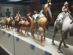 -西安大唐西市博物馆