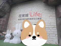 -杭州宋城