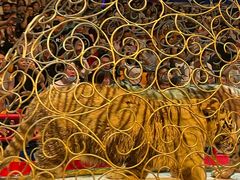 -广州长隆国际大马戏