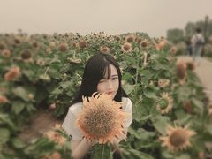 -杭州湾海上花田景区
