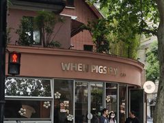 -WHEN PIGS FLY当猪飞