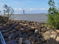 -上海吴淞炮台湾国家湿地公园