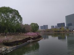 -大兴滨河森林公园