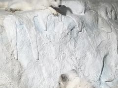 -珠海长隆海洋王国