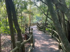 -海口火山口国家地质公园