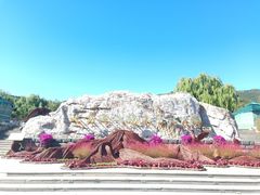 -北京西山国家森林公园