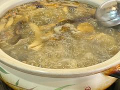 -杨记山珍鸡煲菌汤锅
