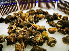 -圣罗巴甄选自助(麦凯乐店)