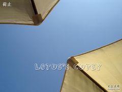 翱翔在天天天蓝-榖屋house of flour(张江首店)