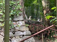 -莫干山风景区