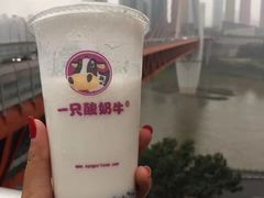 -一只酸奶牛(八一路店)