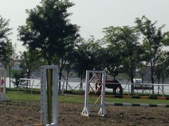 -武清南湖绿博园