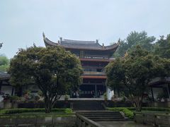 -茶颜悦色(岳麓山顶店)