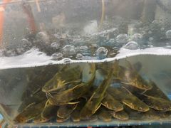 -高淳老街土菜馆(迎薰门店)