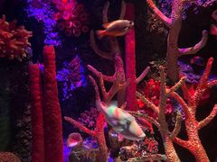 -沈阳海洋探索中心