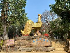 -云南勐巴娜西珍奇园