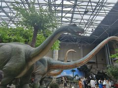 -国家自然博物馆