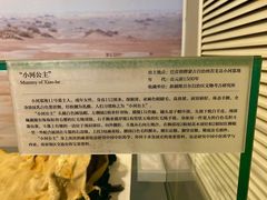 -北京大学赛克勒考古与艺术博物馆