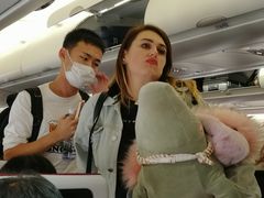 -谢列梅捷沃国际机场