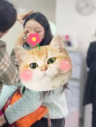 -Verywang半永久纹眉•仪器野生眉
