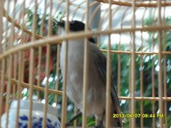 -鄂尔多斯野生动物园