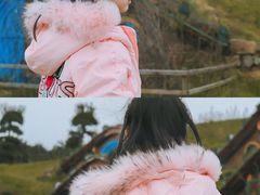 -武汉紫薇都市田园