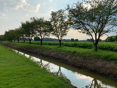 -祝甸砖窑文化馆