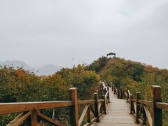 -大岭沟猕猴桃谷风景区