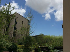 iphone_upload_pic-上海崇明金茂凯悦酒店