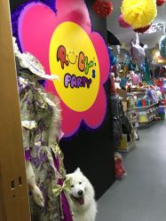 -乐贝派对RUBY'SPARTY