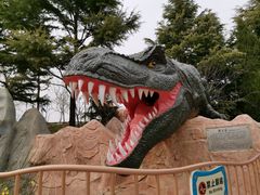 -青岛方特梦幻王国