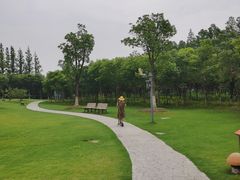 -上海长兴岛郊野公园