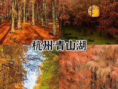 -青山湖景区
