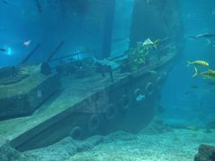 -福州罗源湾海洋世界旅游区