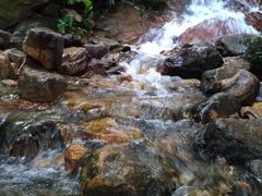 -梧桐山风景名胜区