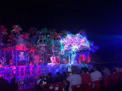 -三亚红色娘子军演艺公园景区