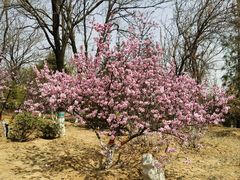 -鹫峰国家森林公园