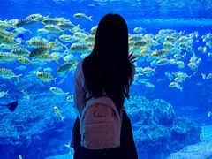 -海合安成都极地海洋公园