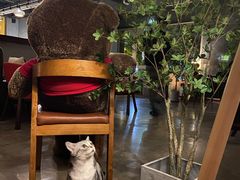 -咖法森林·咖啡  酒吧(天河店)