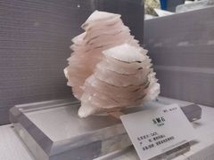 -湖南省地质博物馆