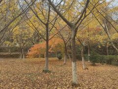 -白马涧龙池景区